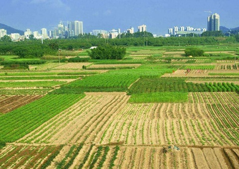 湖北省处理闲置土地17.81万亩  收回面积居天下第一