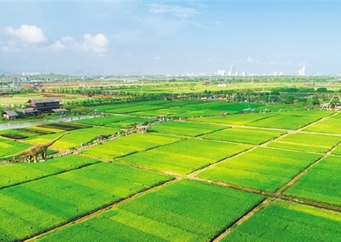 海南多行动“开源”增补耕地指标