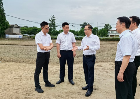 胡云赴眉山调研耕地保；；な褂煤透弑曜寂┨锝ㄉ枋虑