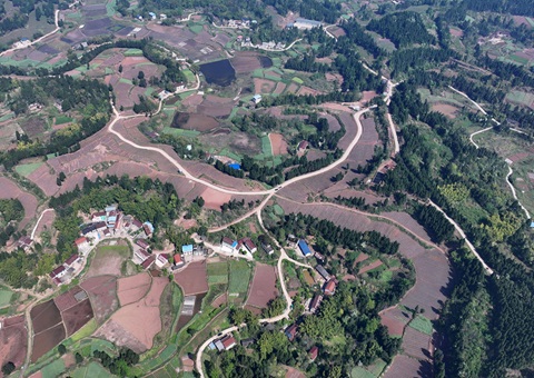 内江市东兴区局周全做好耕地掩护 全力做好用地包管