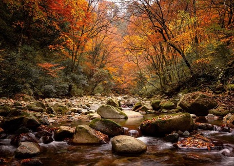 巴中光雾山—诺水河天下地质公园加入中国天下地质公园生长20周年岁念活动