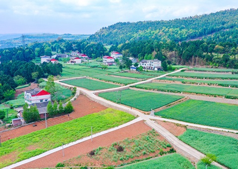 广元市推行“卫星田长”科技助力精准；；じ