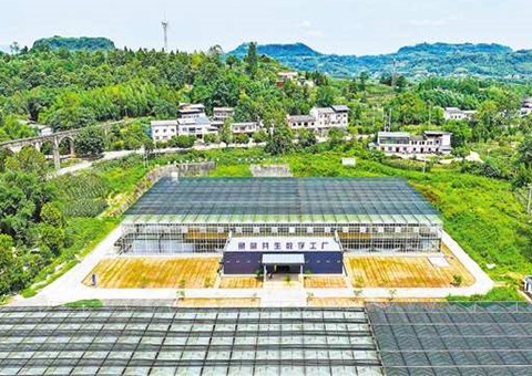 重庆：：：数智赋能  土地结出“智慧果”