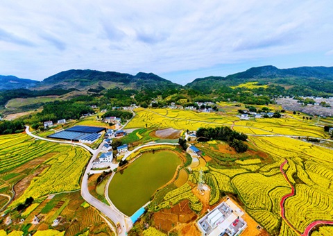投资超千亿    广东全域土地综合整治实现“开好局” 