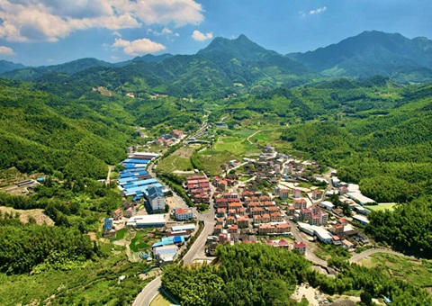 福建深化运用“知、、督、、促”事情机制——靶向发力 护航墟落振兴