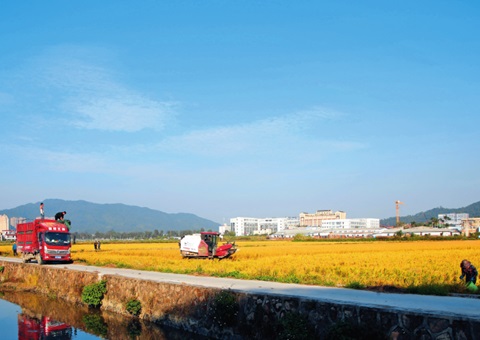 瞭望｜广东：：“耕”出新动能 “连”出好风物