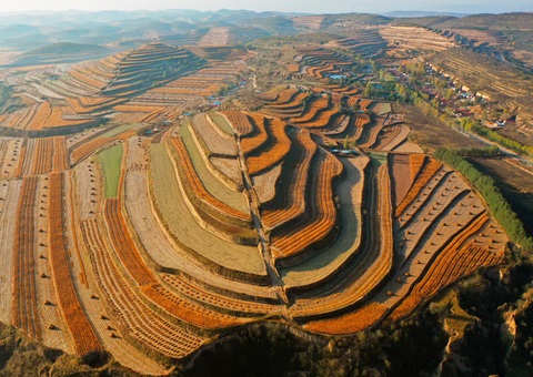 宁夏16.52亿元土地储备专项债券项目过审