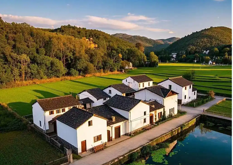 广元市苍溪县探索“用地包管+耕地掩护”良性互动新行动