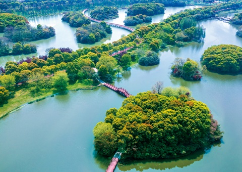 江西省湿地；；；ぢ室汛61.99%