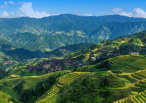 津贴200万元！！广西实验林权挂号财务资金激励