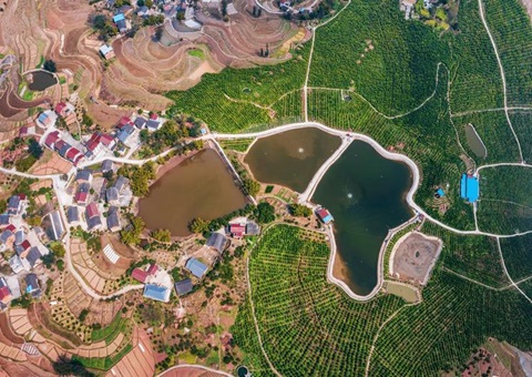 农刊行重庆市分行：投放全市首笔全域土地综合整治贷款