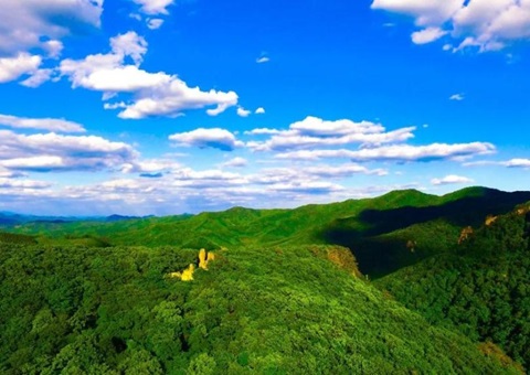 辽宁：：林草领域获80亿元信贷支持