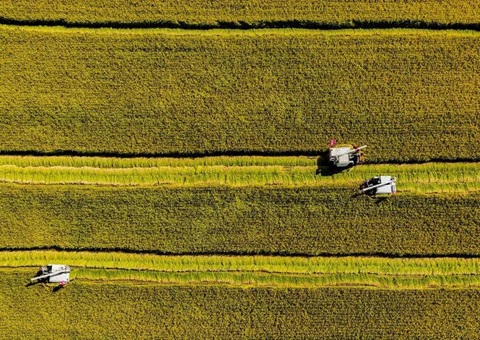 辽宁省耕地地力；；；そ蛱曜汲鎏