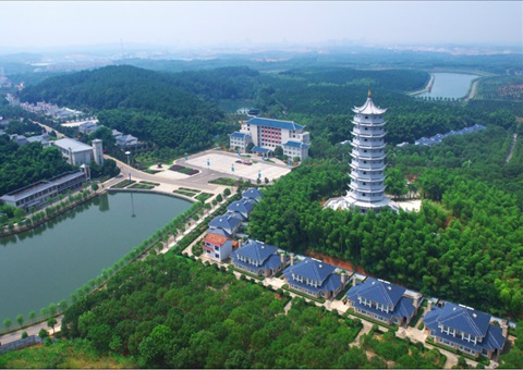 湖北：：：用好“一张图” ，，，智治有支持