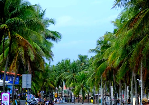建“清凉都会”，海南有何“凉方”?