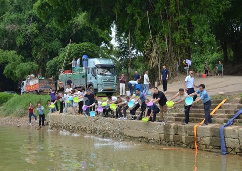落实重大工程生态赔偿！！！79万尾鱼苗“安家”龙州左江湿地