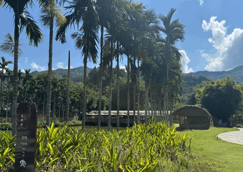 海南探索墟落妄想赋能： 用工业“串”起和美墟落“幸福链”