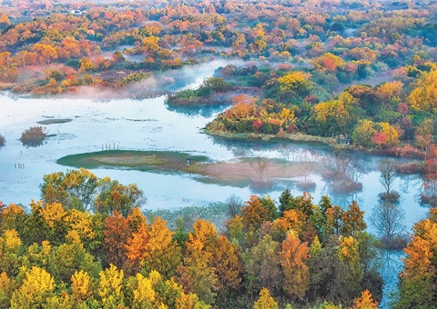 浙江杭州打造国际湿地都会标杆
