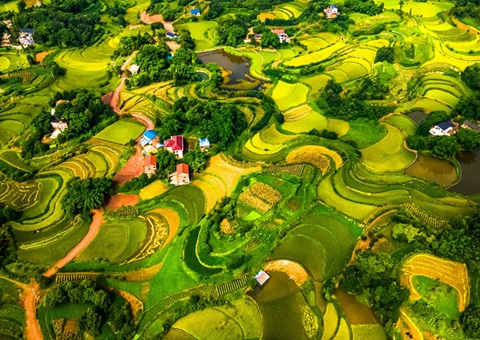 @农民朋侪 2025年重庆市耕地地力；そ蛱桨咐戳