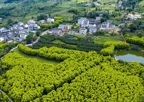 重庆墟落休闲旅游形成点线面立体式生长  建设天下休闲农业重点县8个、中国漂亮休闲墟落90个