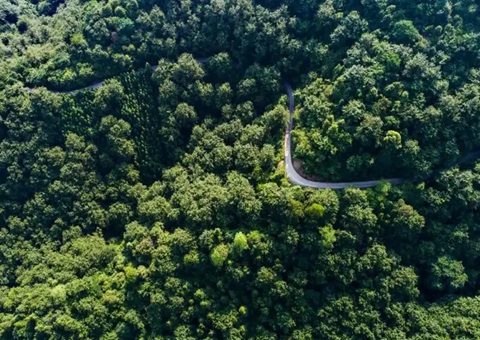 湖南省首例！！靖州“国有建设用地+VEP”自然资源资产组合项目实现生意