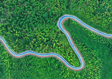 组合供应出新招，，，竹海收益节节高——桃江县“桃花江竹海。”自然资源资产组合供应推动生态产品价值实现案例