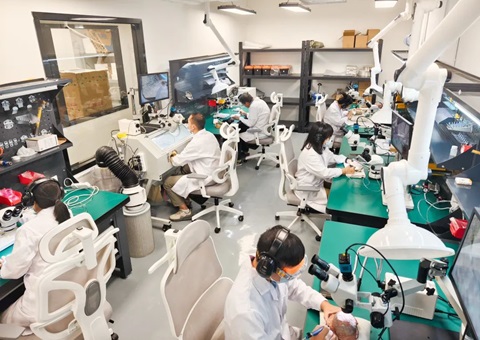 解锁远古“生命档案”！！！广西首家专业古生物化石修复判断室亮相