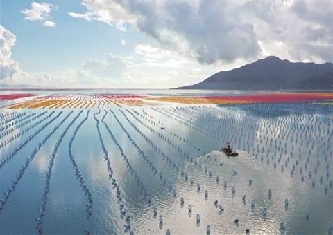 广东调解现代化海洋牧场项目海域使用金减免政策适用规模    获批项目免缴前5年海域使用金